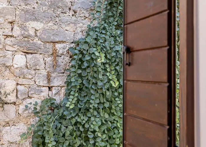 Casa Vlatka-cozy & Apartment Hvar Town